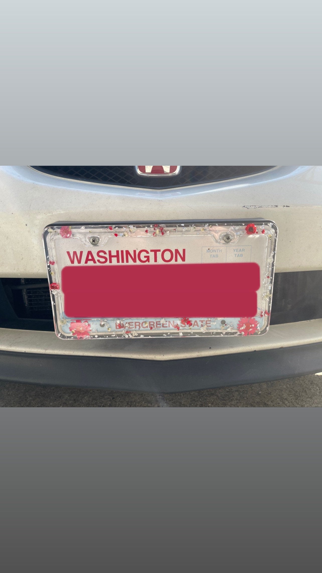 Resin License Plate Cover