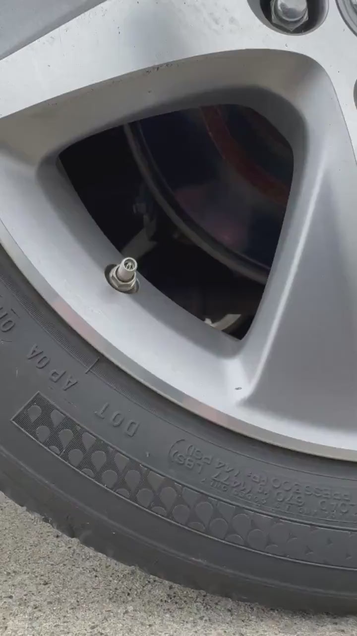 Sakura Tire Valve Stem Caps | Set of 6 | Custom